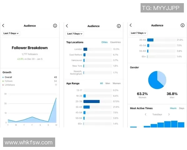深入探讨Instagram平台的技术表现与数据分析方法