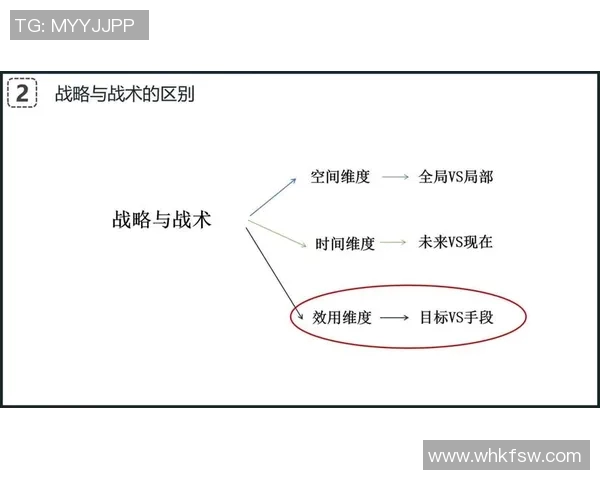 深入分析杭州网球队的控制打法与战术优势探讨