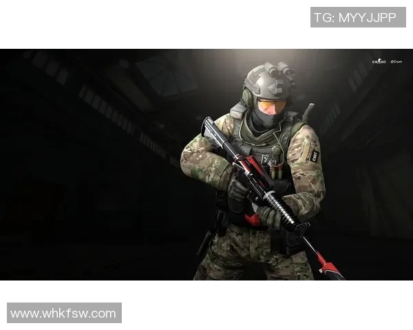 深度探讨刘强在CSGO世界中的成长与挑战之路