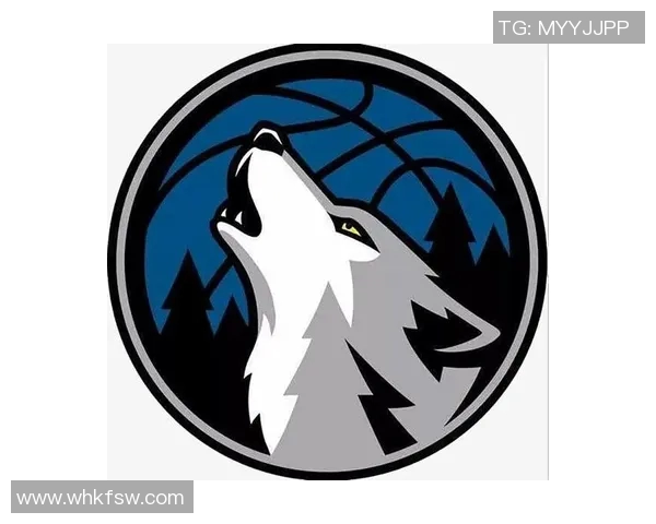 森林狼队重建之路：年轻阵容与未来挑战并行的成长轨迹